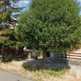 ZUBNÍ ORDINACE OLOMOUC