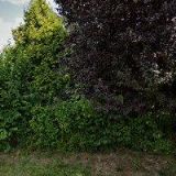 MITTEROVÁ ALENA MUDr.