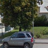 PAVELKOVÁ VĚRA MUDr.