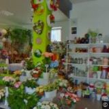 HYNKOVÁ ALENA-ZUBNÍ LABORATOŘ