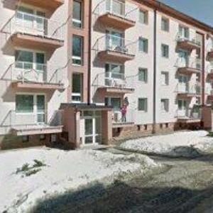 obrazek: avatar KROČILOVÁ PETRA DiS.-DENTÁLNÍ HYGIENA RÝMAŘOV