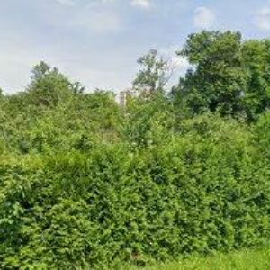 obrazek: avatar STOMATOLOGICKÉ CENTRUM VESELÝ ÚSMĚV