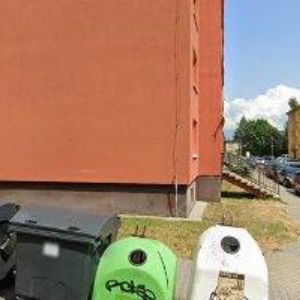 obrazek: avatar SILESIA DENT