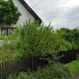 obrazek: avatar ROSYPALOVÁ MARIE MUDr.