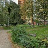 SOŠKOVÁ IVANA MUDr.