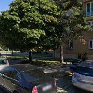 obrazek: avatar SLAVÍKOVÁ EVA MUDr.