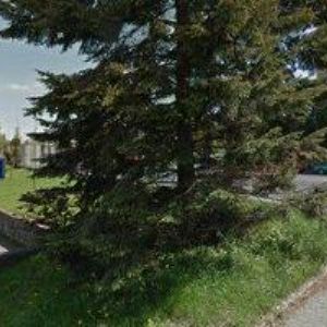 obrazek: avatar KALFUSOVÁ HANA MUDr.