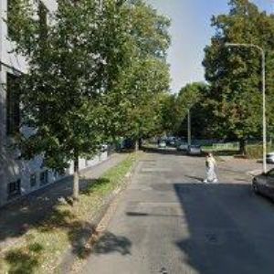 obrazek: avatar FILÁKOVÁ MILENA MUDr.