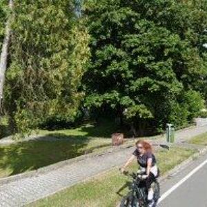 obrazek: avatar RIPKOVÁ ZITA MUDr.