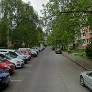 obrazek: avatar MACHAČOVÁ PETRA