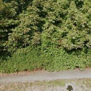 obrazek: avatar AUTOBAZAR VRÁNA