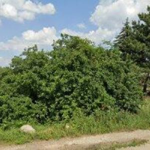 obrazek: avatar AUTOBAZAR HRUŠKY