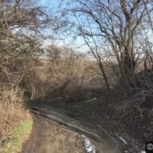 obrazek: avatar KEJDA TOMÁŠ