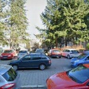 obrazek: avatar RAJSIGL RENÉ