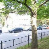 AUTOSKLO P & M s.r.o.