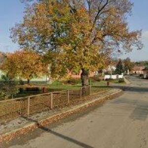 obrazek: avatar HYNŠT PETR