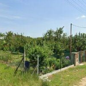 obrazek: avatar MOTORIMPEX, spol. s r.o.