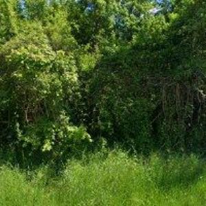 obrazek: avatar AUTODIVAKY s.r.o.