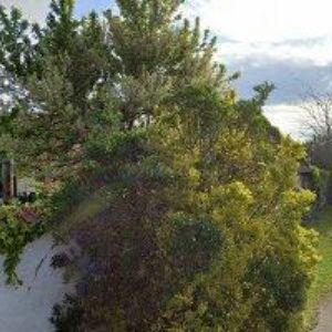 obrazek: avatar ČIŠTĚNÍ VENDELÍN