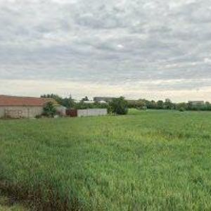 obrazek: avatar SKRYJA JIŘÍ-PNEUSERVIS