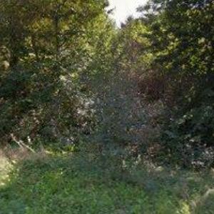 obrazek: avatar DIMID CZ, s.r.o.