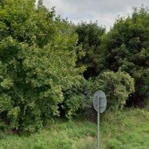 obrazek: avatar PEXA ANTONÍN