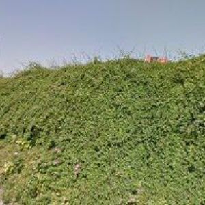 obrazek: avatar DOPOS-LIBOR KŘÍŽ