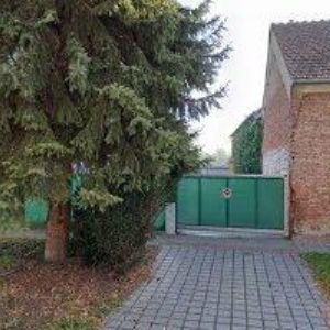 obrazek: avatar MECEROD MICHAL