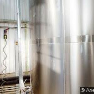 obrazek: avatar SWING CAR