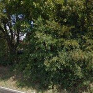 obrazek: avatar MOTOKENNY