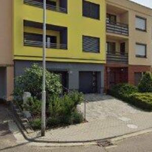 obrazek: avatar ČECHOVSKÝ JOSEF