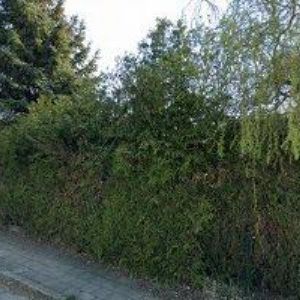 obrazek: avatar PROFICHIP s.r.o.