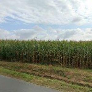 obrazek: avatar JANOVSKÝ VLADIMÍR