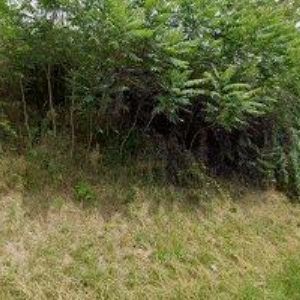 obrazek: avatar MYJE.TO Znojmo