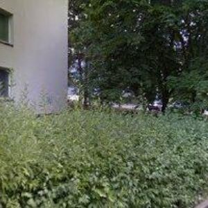 obrazek: avatar TELKOP s.r.o.