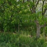 HARAŠTA BOHUMIL-VIDEODIGITAL