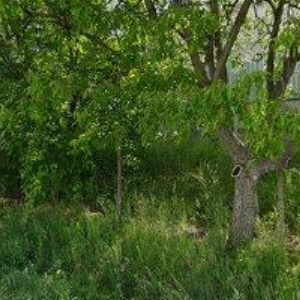 obrazek: avatar HARAŠTA BOHUMIL-VIDEODIGITAL