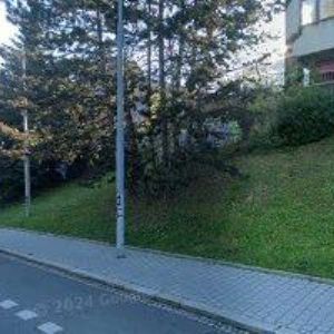 obrazek: avatar POLZER JAN