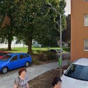 obrazek: avatar GREY FOX s.r.o.