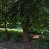 AUTO RENT A CAR s.r.o.