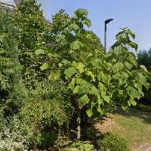 obrazek: avatar AUTOŠKOLA JEDLIČKA