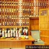 AMOTEPORTUGAL s.r.o.