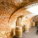 ZÁMECKÝ HOTEL LEDNICE