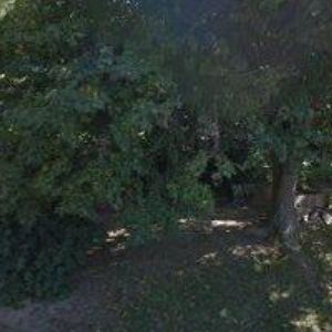 obrazek: avatar HOTEL RIVIERA