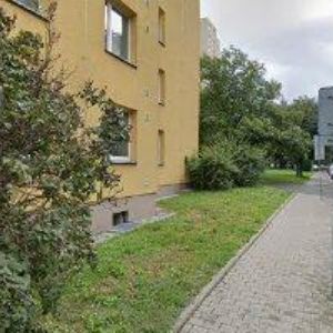 obrazek: avatar BRŇOVJÁK MARTIN