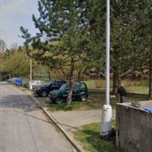 obrazek: avatar JURKOVÁ ALENA