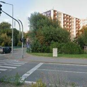 obrazek: avatar BÍLÁ RŮŽE