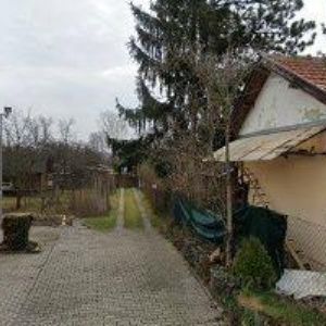 obrazek: avatar AS CLUB