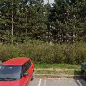 obrazek: avatar PLEVA VLADIMÍR