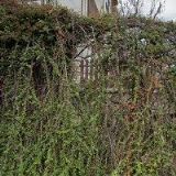 APARTMÁN KRATOCHVÍL